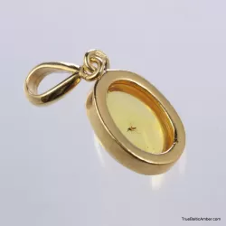 Gold Plated Baltic amber pendant with insect inclusion