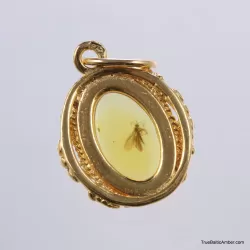Gold Plated Baltic amber pendant with insect inclusion