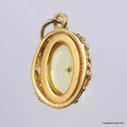 Gold Plated Baltic amber pendant with insect inclusion