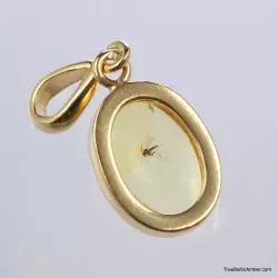 Gold Plated Baltic amber pendant with insect inclusion