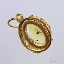 Gold Plated Baltic amber pendant with insect inclusion