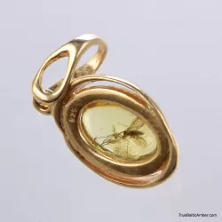 Gold Plated Baltic amber pendant with insect inclusion