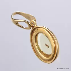 Gold Plated Baltic amber pendant with insect inclusion