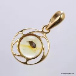 Gold Plated Baltic amber pendant with insect inclusion