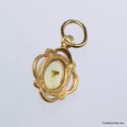 Gold Plated Baltic amber pendant with insect inclusion