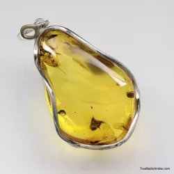 Large amulet Baltic amber silver pendant with insect inclusion 21g