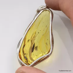 Large amulet Baltic amber silver pendant with insect inclusion 20g