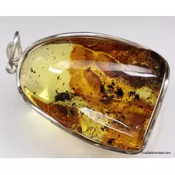 Large amulet Baltic amber silver pendant with insect inclusion 21g