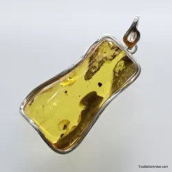 Large amulet Baltic amber silver pendant with insect inclusion 17g