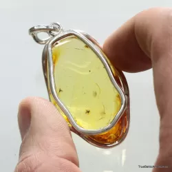 Large amulet Baltic amber silver pendant with insect inclusion 16g