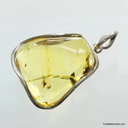 Large amulet Baltic amber silver pendant with insect inclusion 16g