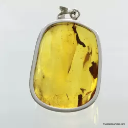 Large amulet Baltic amber silver pendant with diptera insect inclusion 16g