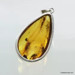 Large amulet Baltic amber silver pendant w insect inclusion 16g