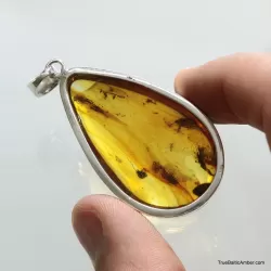 Large amulet Baltic amber silver pendant w insect inclusion 16g