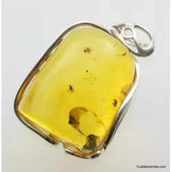 Large amulet Baltic amber silver pendant w insect inclusion 15g
