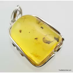 Large amulet Baltic amber silver pendant w insect inclusion 15g