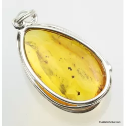 Large amulet Baltic amber silver pendant w insect inclusion 15g