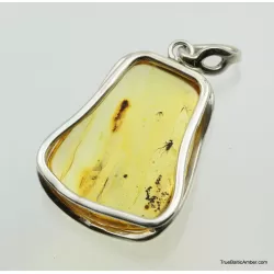 Large amulet Baltic amber silver pendant w insect inclusion 12g