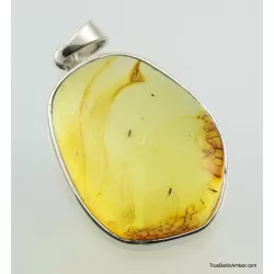 Large amulet Baltic amber silver pendant w insect inclusion 13g