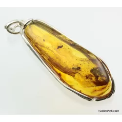 Large amulet Baltic amber silver pendant w insect inclusion 14g