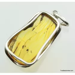 Large amulet Baltic amber silver pendant w insect inclusion 14g