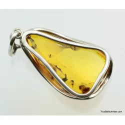 Large amulet Baltic amber silver pendant w insect inclusion 14g