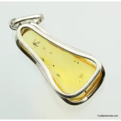 Large amulet Baltic amber silver pendant w insect inclusion 10g