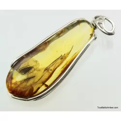 Large amulet Baltic amber silver pendant w insect inclusion 11g