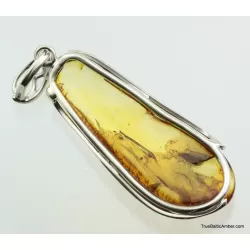 Large amulet Baltic amber silver pendant w insect inclusion 11g