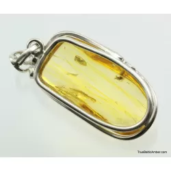 Large amulet Baltic amber silver pendant w insect inclusion 9g