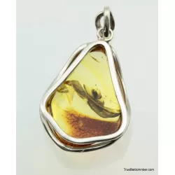 Large Baltic amber silver pendant w insect inclusion 11g