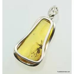 Large Baltic amber silver pendant w insect inclusion 11g