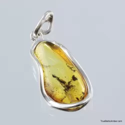 Baltic amber silver pendant w insect inclusion 8g