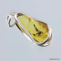 Baltic amber silver pendant w insect inclusion 8g