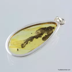 Baltic amber silver pendant w insect inclusion 9g