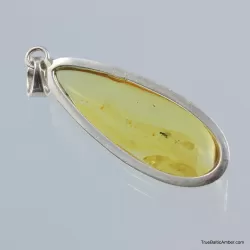 Baltic amber silver pendant w insect inclusion 8g