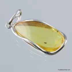 Baltic amber silver pendant w insect inclusion 10g