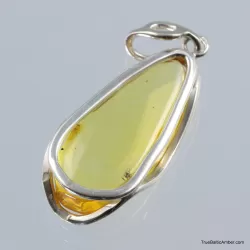 Baltic amber silver pendant w insect inclusion 10g