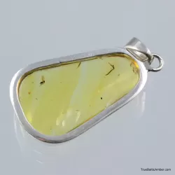 Baltic amber silver pendant w insect inclusion 8g