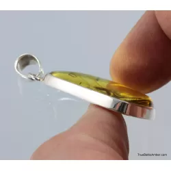 Baltic amber silver pendant w insect inclusion 8g