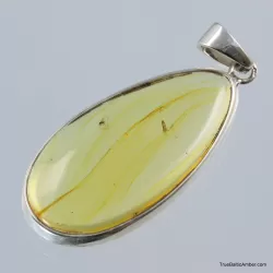 Baltic amber silver pendant w insect inclusion 9g