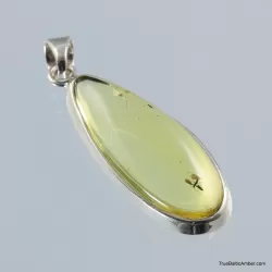 Baltic amber silver pendant w insect inclusion 6g