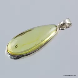 Baltic amber silver pendant w insect inclusion 6g