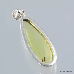 Baltic amber silver pendant w insect inclusion 6g