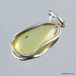 Baltic amber silver pendant w insect inclusion 8g