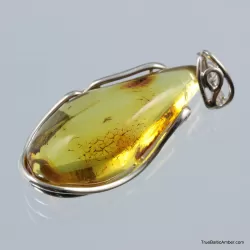 Baltic amber silver pendant w insect inclusion 9g