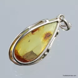 Baltic amber silver pendant w insect inclusion 9g