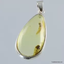 Baltic amber silver pendant w insect inclusion 7g