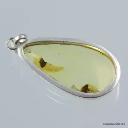 Baltic amber silver pendant w insect inclusion 7g