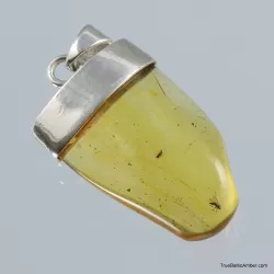 Baltic amber silver pendant w insect inclusion 7g